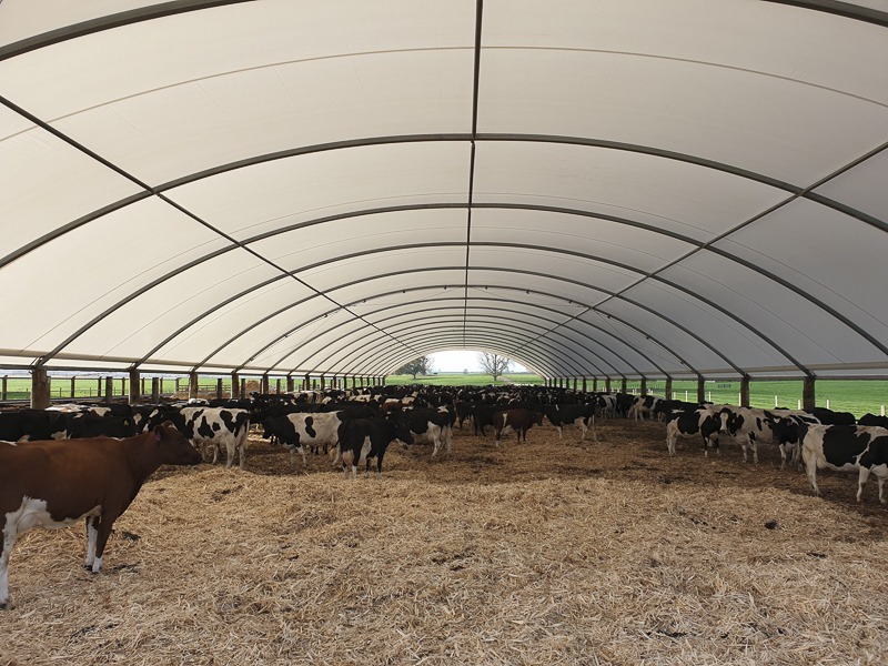 How technology is changing the dairy industry - SmartShelters NZ