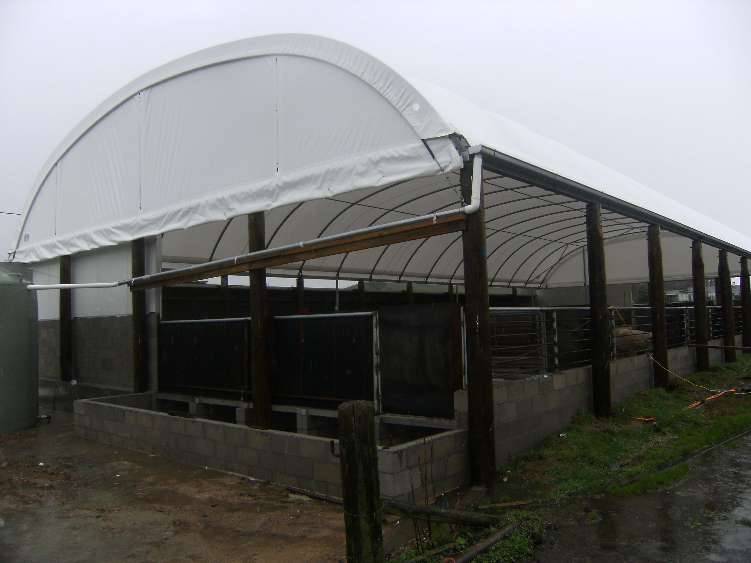 Pig Shelters, Barns & Outdoor Housing | SmartShelters NZ