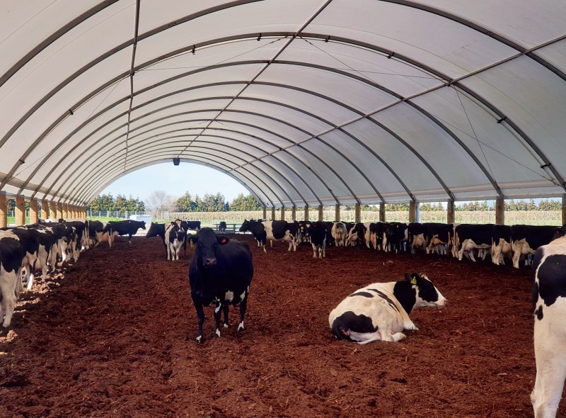 Northland Field Days - Smart Shelters NZ